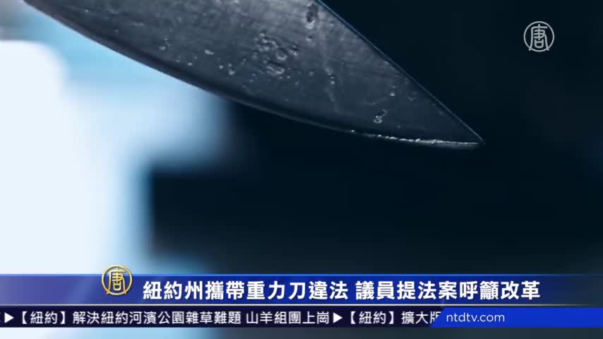 纽约州携带重力刀违法议员提法案呼吁改革 被逮补判刑 议员提案 折叠刀 新唐人中文电视台在线