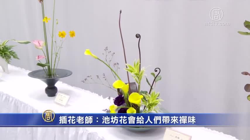 插花老師 池坊花會給人們帶來禪味 花道 插花作品 新唐人中文電視台在線