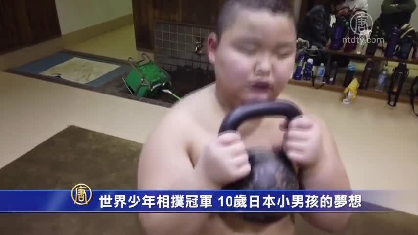 世界少年相撲冠軍10歲日本小男孩的夢想 新唐人中文電視台在線