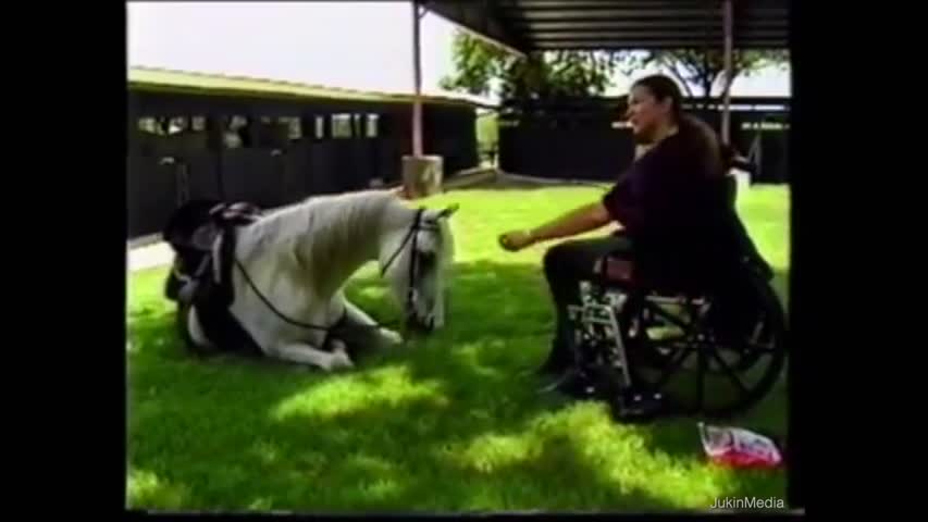 Horse Lies Down for Girl in Wheelchair