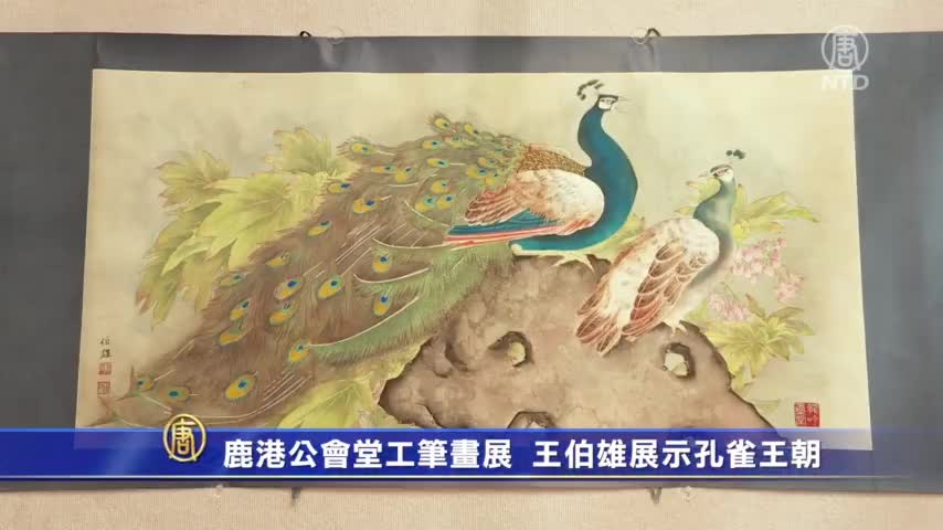 鹿港公会堂工笔画展王伯雄展示孔雀王朝 新唐人中文电视台在线