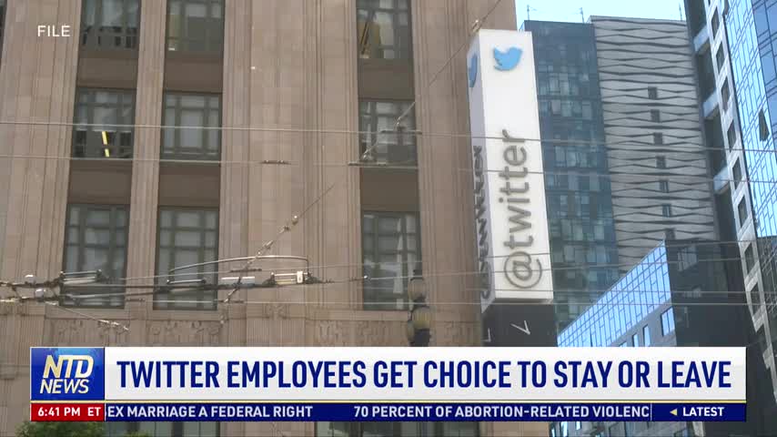 Twitter Employees Get Choice to Stay or Leave