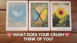 What does your crush think of you? ✨😍😘✨ | Pick a card