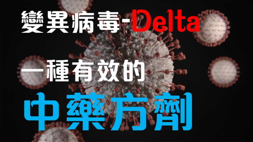 對抗 Delta 病毒有效中藥方劑- 粵抗一號*7劑