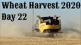Wheat Harvest 2020 - Day 22