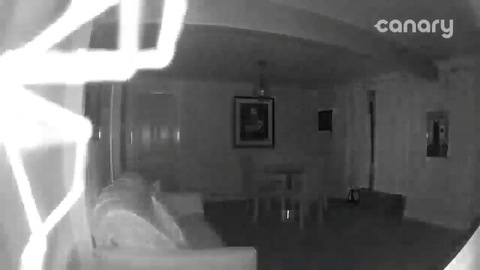 Home Security Camera Gives Super Creepy Close-Up of Spider 