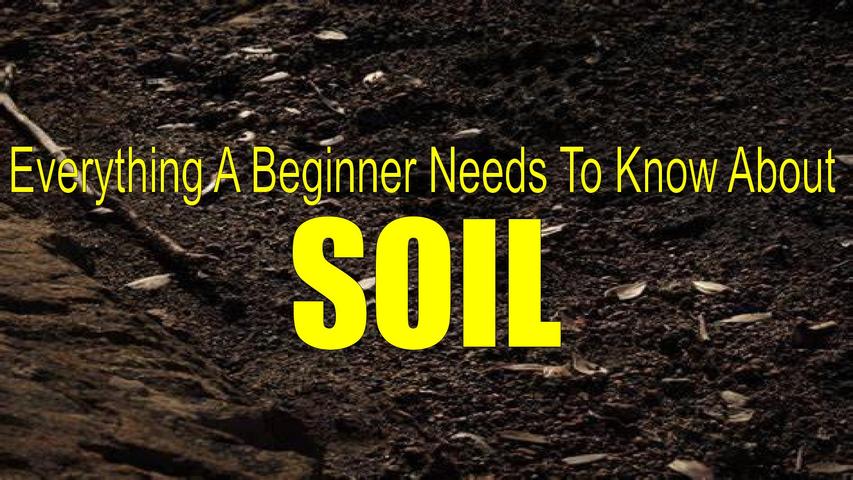 Everything a beginner needs to know about Soil