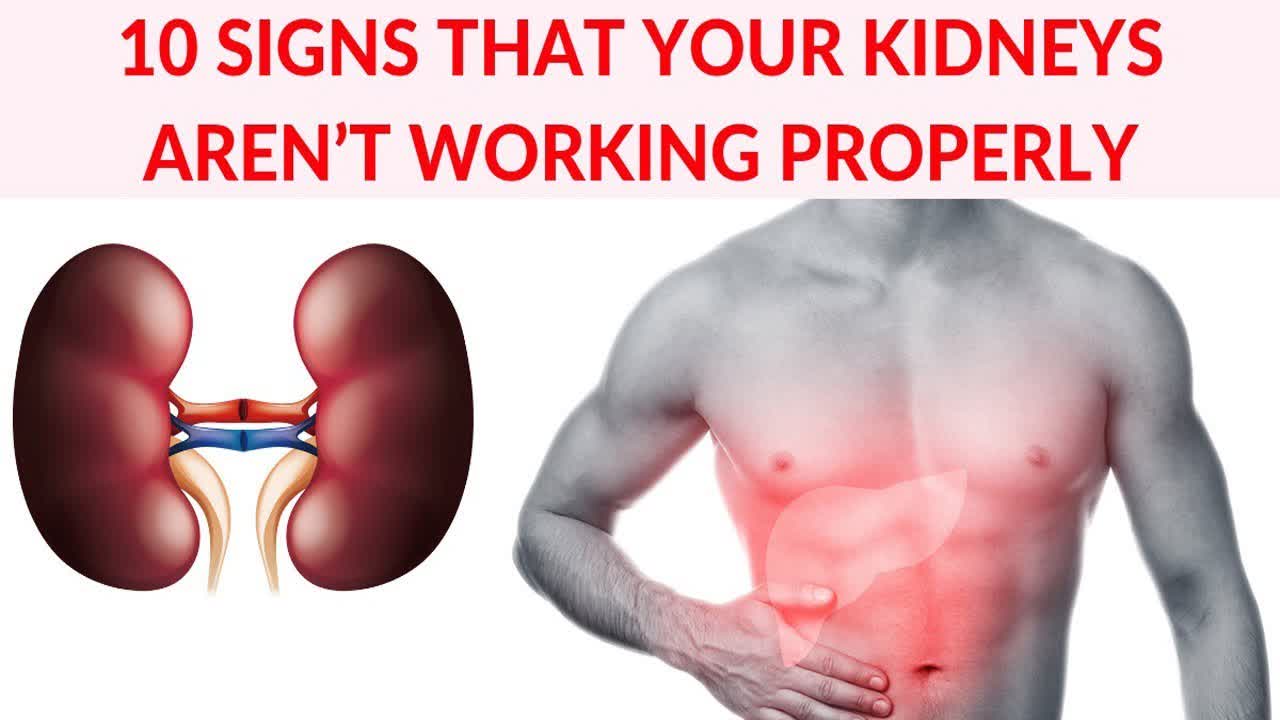 10 Signs That Your Kidneys Aren’t Working Properly