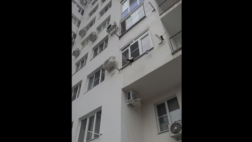 NTD Television - People Save Cat From Falling Out Window.m4v