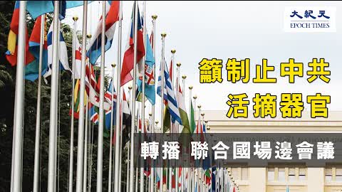 【轉播】聯合國場邊會議籲制止中共活摘器官（中文同步翻譯） | 台灣大紀元時報