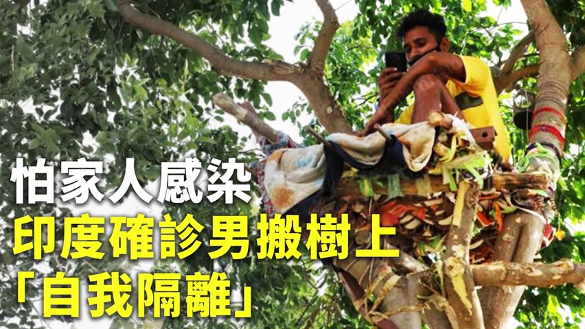 怕家人感染 印度確診男搬樹上「自我隔離」 - 不一樣的隔離 - 新唐人亞太電視台