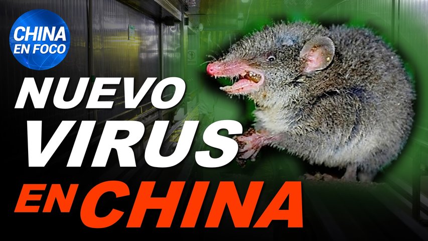 Aparece nuevo virus en China transmisible de animales a humanos. Transformación peligrosa en América