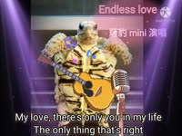 #薩豹  mini  #自彈自唱  # 陸龜唱歌     #Endlesslove.  Endless love