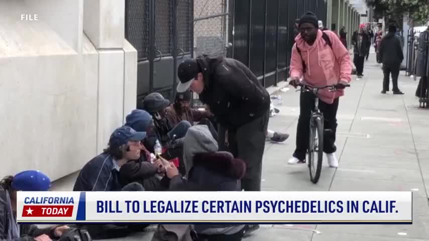 Groups Criticize California Bill Seeking to Legalize Certain Psychedelic Drugs