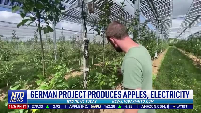 German Project Produces Apples, Electricity