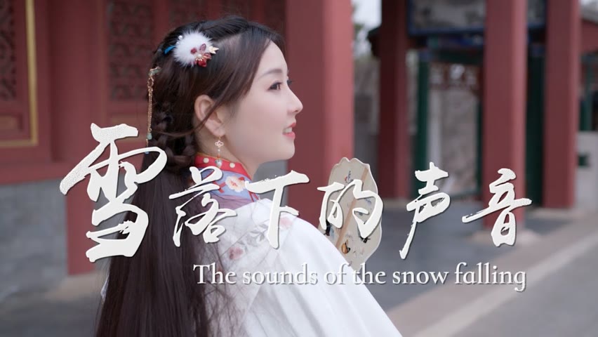 【董敏笛子】The sounds of the snow falling - Chinese Dizi played by Dong Min ｜聆听《雪落下的声音》，我慢慢地品，这段美好时光