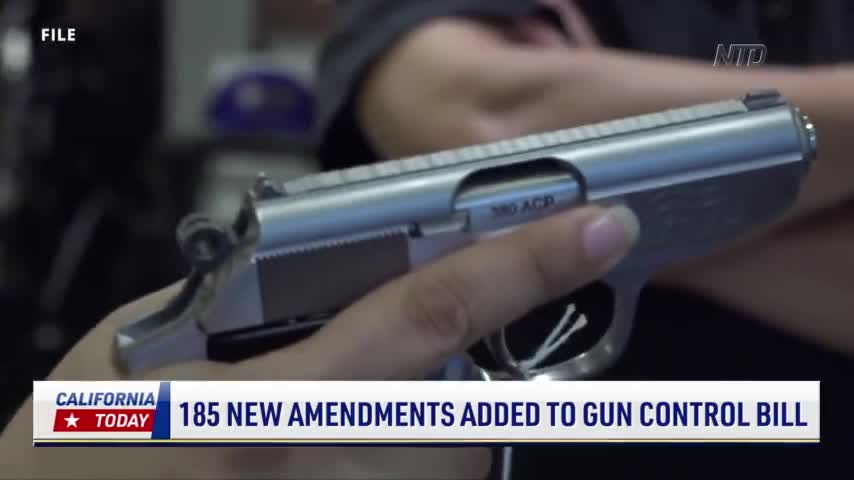185 New Amendments Added to Gun Control Bill