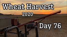Wheat Harvest 2020 - Day 76 (8/19/20)