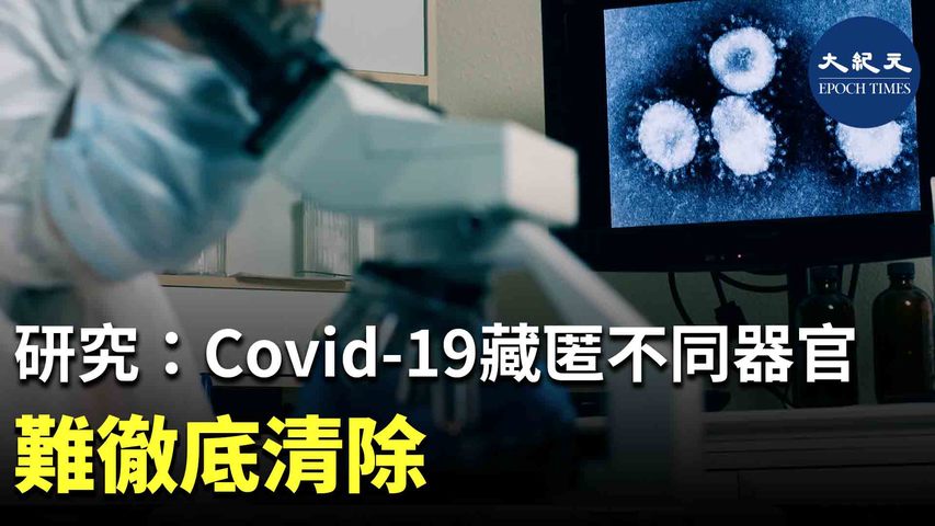 最近的研究發現，不同變種的Covid-19病毒會藏匿在人體的不同器官，增加了從體內徹底清除這種病毒的難度。| #紀元香港 #EpochNewsHK
