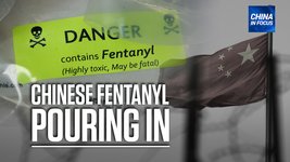 China still main source of fentanyl in US; China already in cyberwar with US: Experts