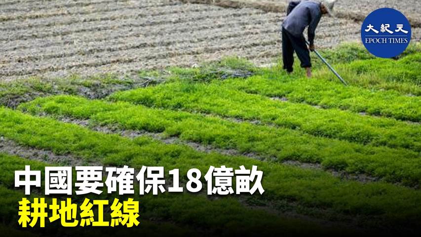 (字幕）18億畝耕地是中共設立的「耕地紅線」，中共在2021年底的農村工作會議強調「18億畝耕地必須實至名歸」。| #紀元香港 #EpochNewsHK
