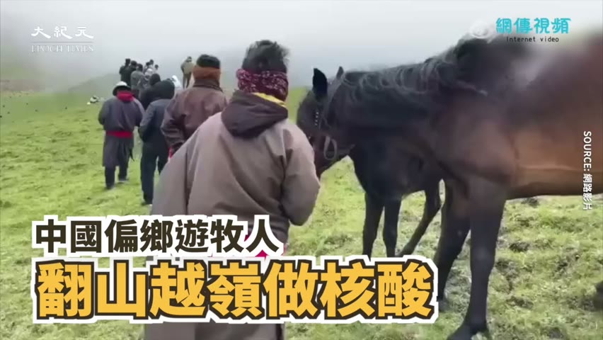 【焦點】中國偏鄉遊牧人🎯翻山越嶺做核酸🐫🐎🐐  | 台灣大紀元時報