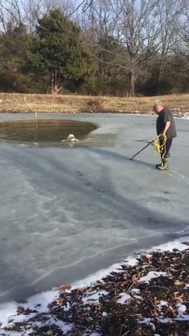 Dog Latches Onto Rope With Its Teeth to Get Free of Frozen Lake