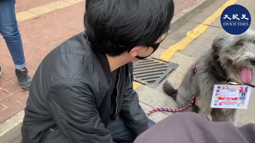 【2020香港新年大遊行】市民帶狗狗參加遊行，狗狗身配「委任狀」，特意注明不要用狗形容警察，污衊狗狗名聲，經過市民表揚狗狗比黑警好得多。 _ #香港大紀元新唐人聯合新聞頻道