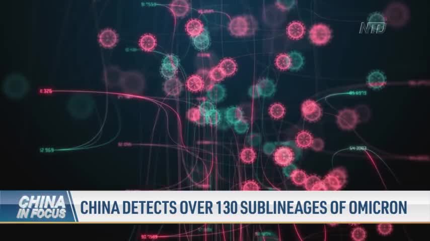 China Detects Over 130 Sublineages of Omicron