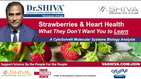 Dr.SHIVA LIVE: Strawberries & Heart Health. What They Don't Want You to Learn.