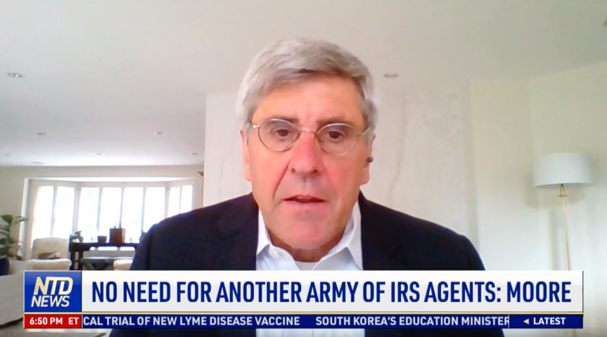 Conservatives Fear Expected 'Army' of Politicized IRS Agents: Stephen Moore
