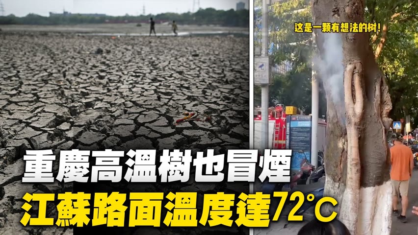 重慶高溫持續，路燈冒煙了樹也熱冒煙； 長江 鄱陽湖水位降至歷史最低 ；江蘇高速路面溫度達72℃【 #天災人禍 】| #大紀元新聞網