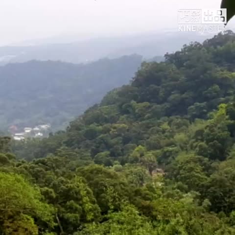 台灣之美  觀音山   林梢步道