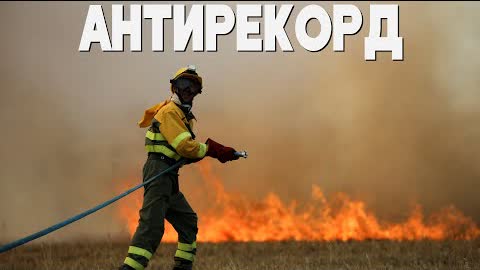 Лесные пожары в Европе к августу выжгли рекордную территорию
