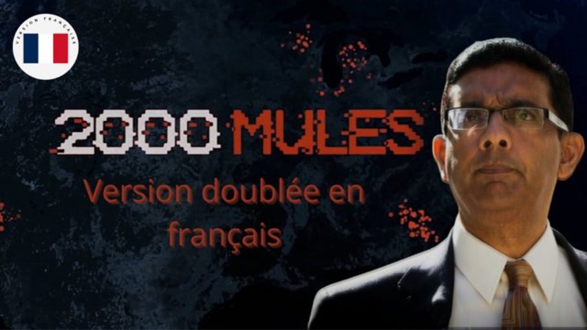 2000 MULES: FILM COMPLET DOUBLÉ EN FRANÇAIS
