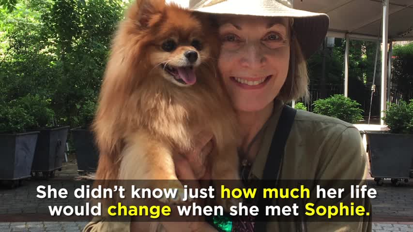 Broadway actress recalls how adopting a dog was a life-changing experience