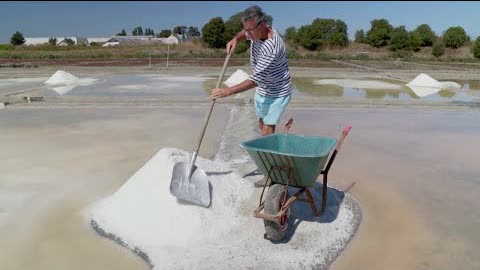 Рекордный урожай элитной соли собирают во Франции в рекордную жару