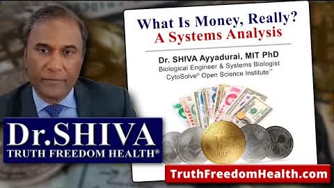 Dr.SHIVA: What Is Money, Really? A Systems Analysis