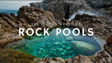 The Secret Life of Rock Pools