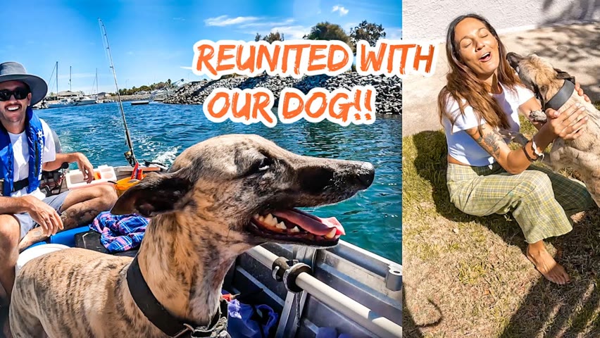 DOG REUNITED WITH FAMILY | CATCH & COOK in SOUTH AUSTRALIA ... Ep 265