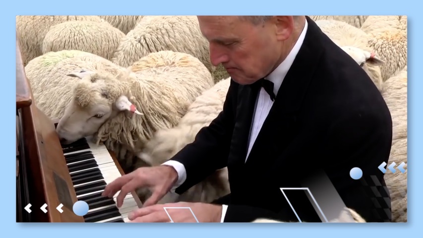 Concert for The Sheep