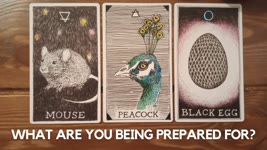 What are you being prepared for?✨ 😮  ⭐️ 😍 ✨  | Pick a card