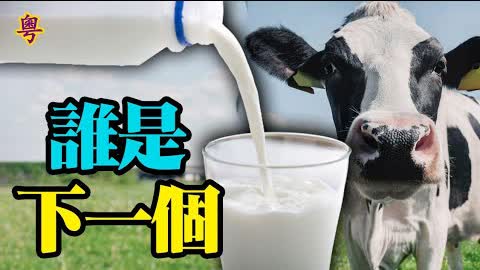 整改輪到牛奶了 中國乳品業股價下跌【粵覽新聞】