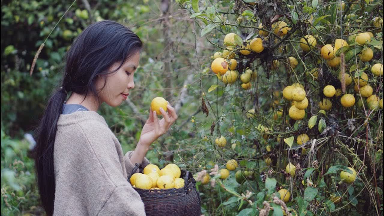 Lemon Jam, Lemon Tea | Mứt Chanh, Trà Chanh Cho Mùa Đông 