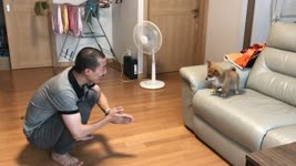 Guy Teaches Puppy TO Jump Off Couch