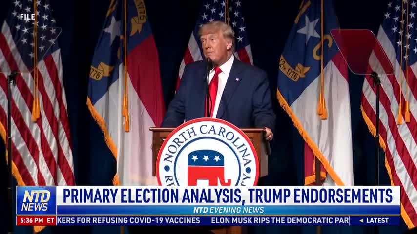 Primary Election Analysis, Trump Endorsements