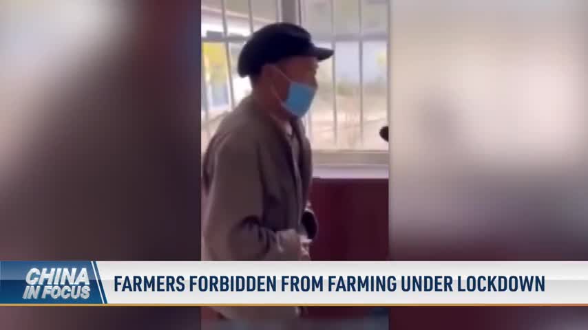 Farmers Forbidden From Farming Under Lockdown