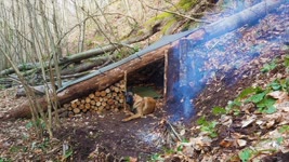 Bushcraft Shelter Camping - Off Grid Cooking, Survival Skills, Campfire, Asmr, Diy