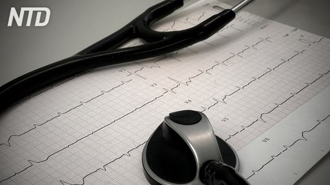Fact Check e analisi sulla salute del cuore