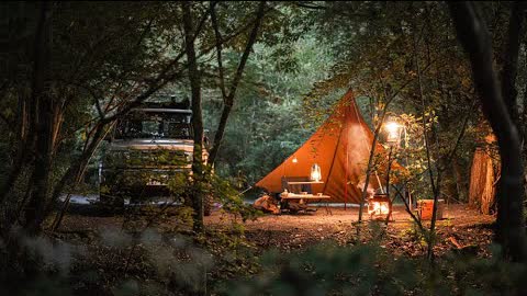 【ソロキャンプ】林間サイトで秋の味覚を楽しもう/秋刀魚と銀杏